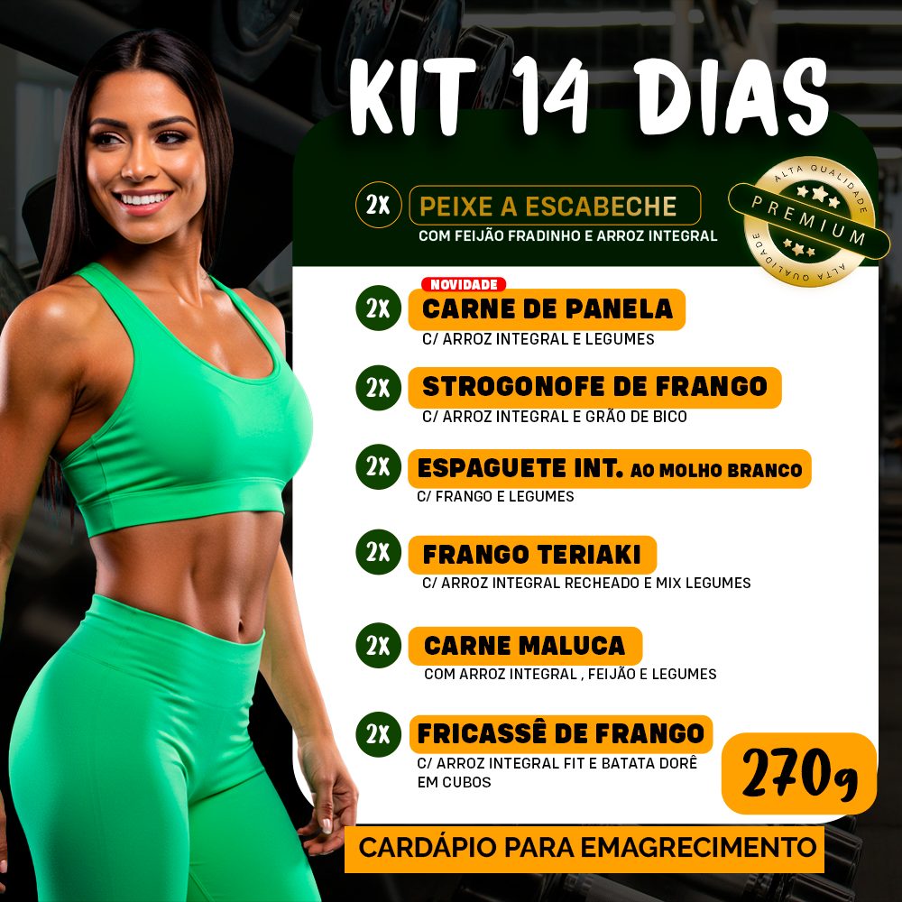 Kit Marmitas Fitness Almoço Emagrecimento 14 DIas