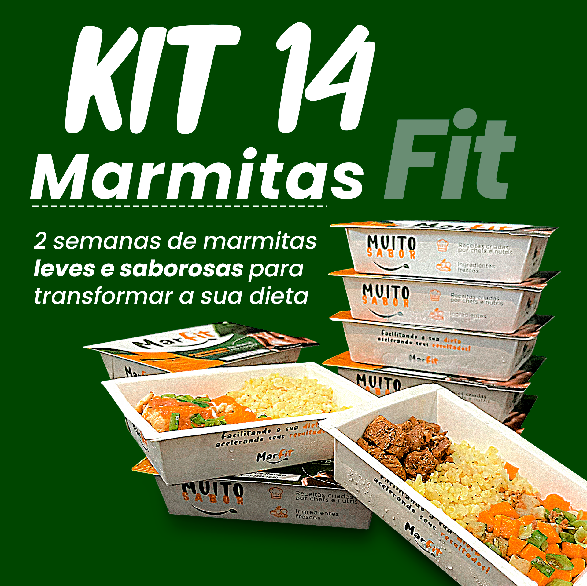 Kit 14 marmitas fitness 270 g - Assinatura